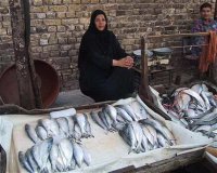 Fish Seller